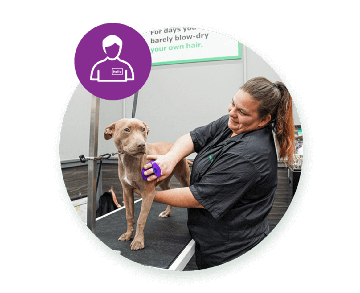 Pet Supplies Plus Franchising The Top Dog