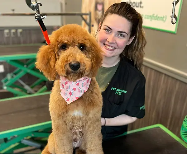 Pet Supplies Plus Franchise